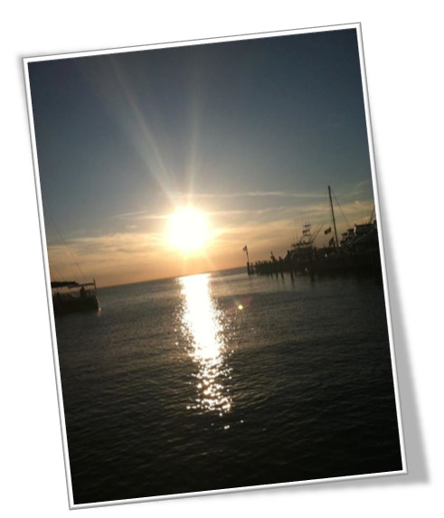 Southern Ocean Real Estate